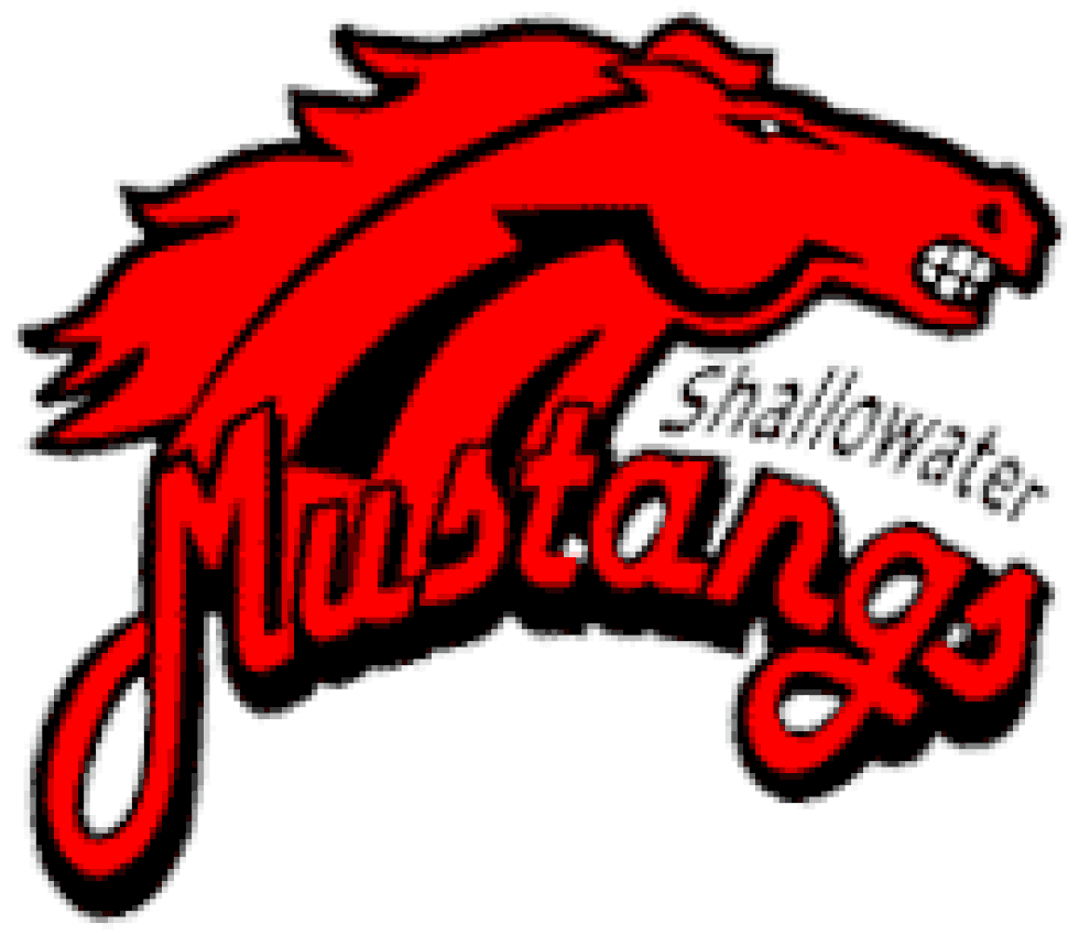 Shallowater ISD Seeking 1.2 Million Bond