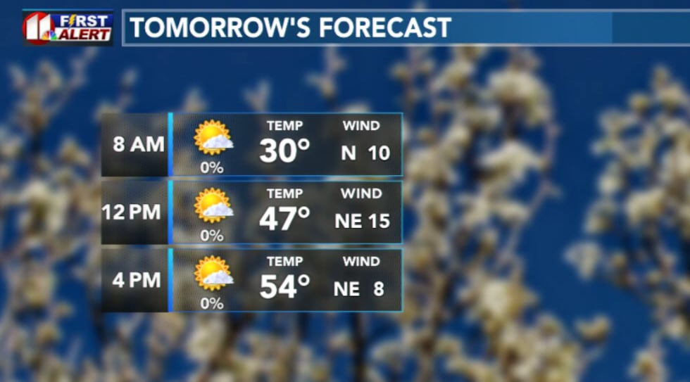 Monday's forecast