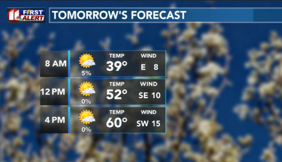 Tomorrow's forecast